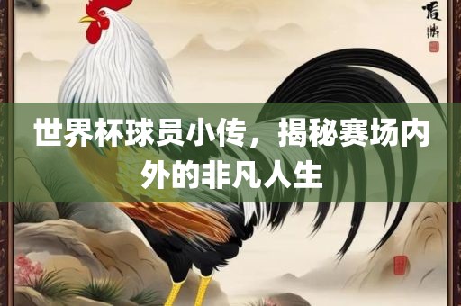 世界杯球员小传，揭秘赛场内外的非凡人生