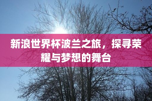 新浪世界杯波兰之旅，探寻荣耀与梦想的舞台