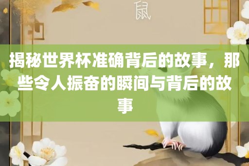 揭秘世界杯准确背后的故事，那些令人振奋的瞬间与背后的故事