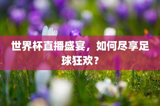 世界杯直播盛宴，如何尽享足球狂欢？