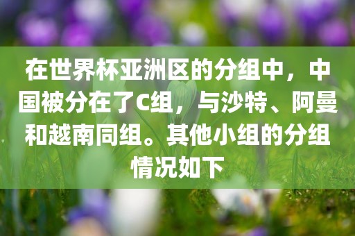 在世界杯亚洲区的分组中，中国被分在了C组，与沙特、阿曼和越南同组。其他小组的分组情况如下