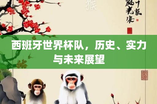 西班牙世界杯队，历史、实力与未来展望