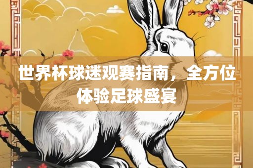 世界杯球迷观赛指南，全方位体验足球盛宴