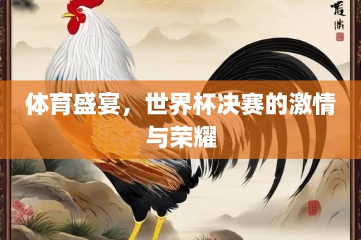 体育盛宴，世界杯决赛的激情与荣耀