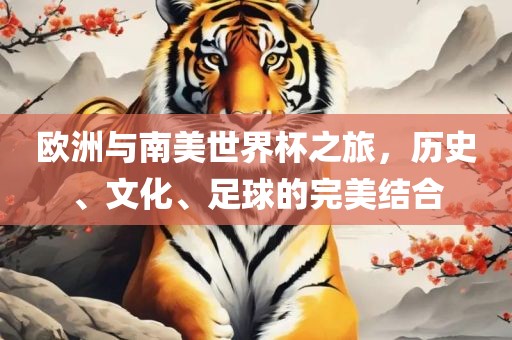 欧洲与南美世界杯之旅，历史、文化、足球的完美结合