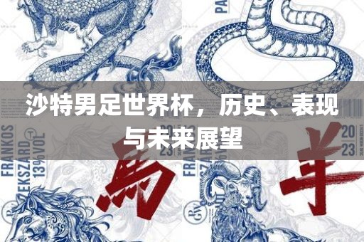 沙特男足世界杯，历史、表现与未来展望
