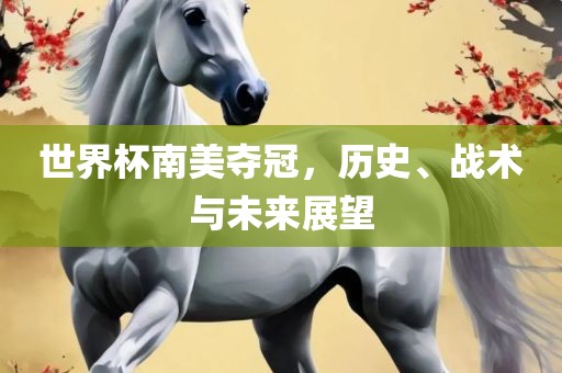 世界杯南美夺冠，历史、战术与未来展望