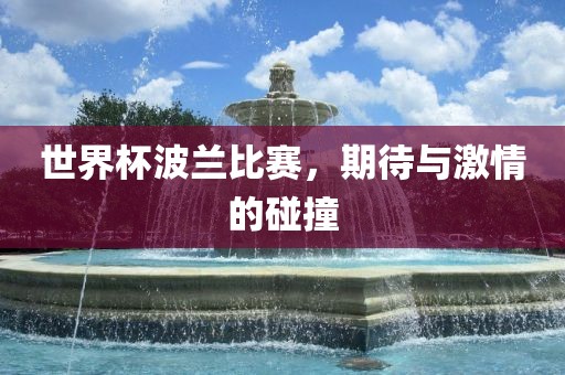世界杯波兰比赛，期待与激情的碰撞