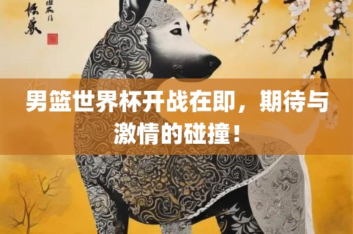 男篮世界杯开战在即，期待与激情的碰撞！