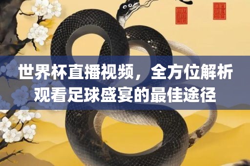 世界杯直播视频，全方位解析观看足球盛宴的最佳途径