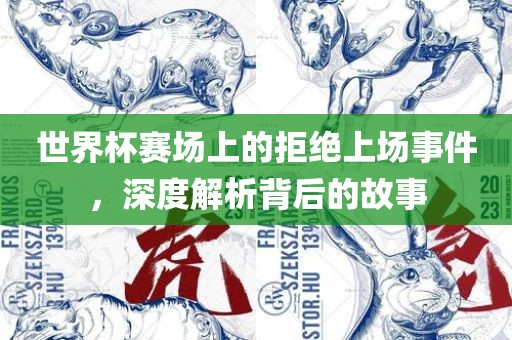 世界杯赛场上的拒绝上场事眉山市正发家政服务有限公司件，深度解析背后的故事