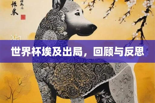 世界杯埃及出局，回顾与反思