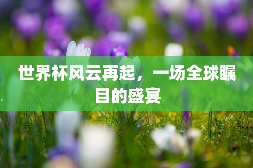 世界杯风云再起，一场全球瞩目的盛宴
