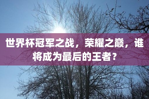 世界杯冠军之战，荣耀之巅，谁将成为最后的王者？