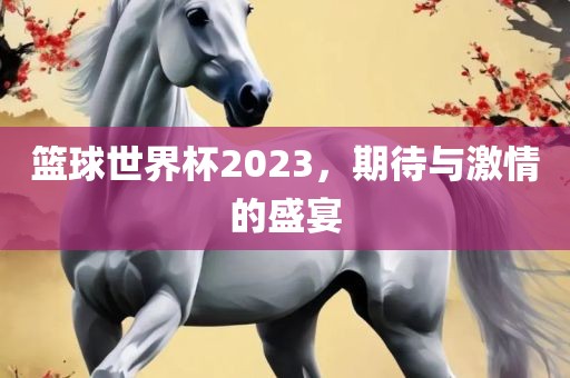 篮球世界杯2023，期待与激情的盛宴