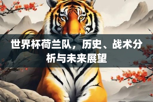 世界杯荷兰队，历史、战术分析与未来展望