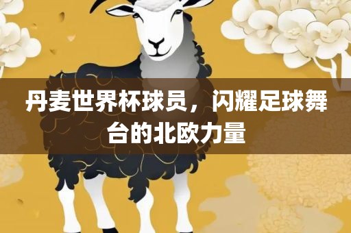 丹麦世界杯球员，闪耀足球舞台的北欧力量