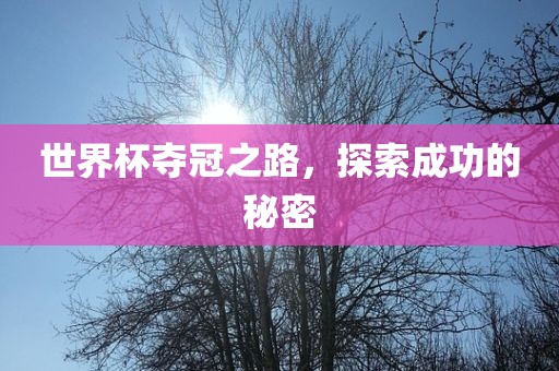 世界杯夺冠之路，探索成功的秘密
