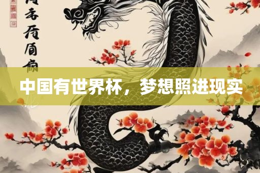 中国有世界杯，梦想照进现实