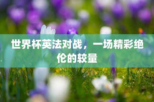 世界杯英法对战，一场精彩绝伦的较量