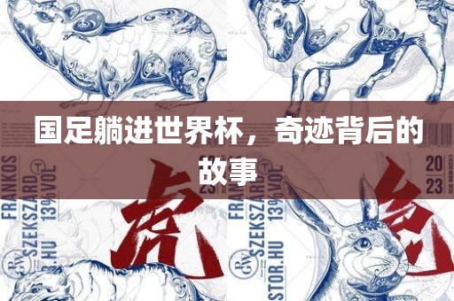 国足躺进世界杯，奇迹背后的故事
