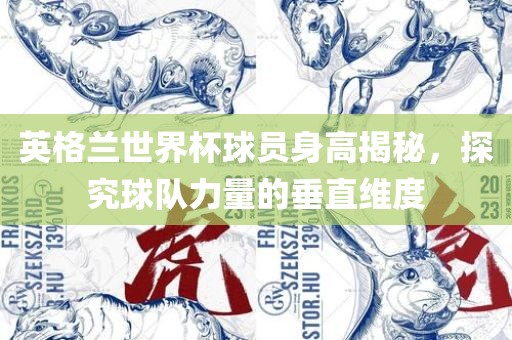 英格兰世界杯球员身高揭秘，探究球队力量的垂直维度