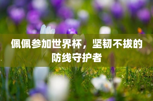 佩佩参加世界杯，坚韧不拔的防线守护者