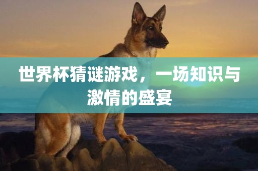 世界杯猜谜游戏，一场知识与激情的盛宴