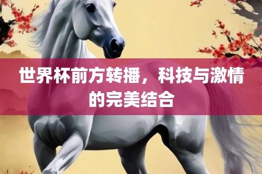 世界杯前方转播，科技与激情的完美结合