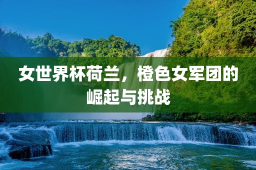 女世界杯荷兰，橙色女军团的崛起与挑战眉山市正发家政服务有限公司
