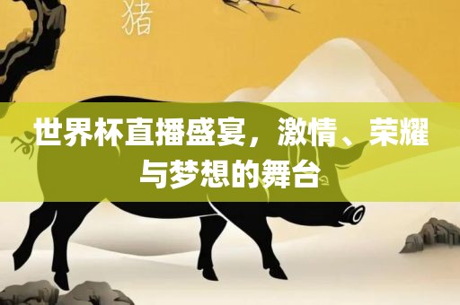世界杯直播盛宴，激情、荣耀与梦想的舞台