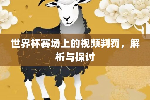 世界杯赛场上的视频判罚，解析与探讨