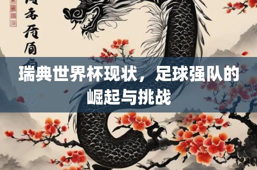 瑞典世界杯现状，足球强队的崛起与挑战
