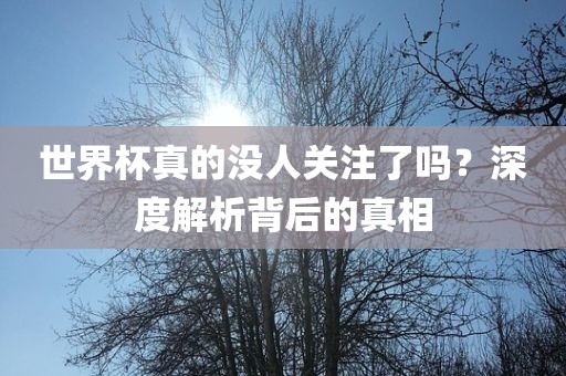 世界杯真的没人关注了吗？深度解析背后的真相