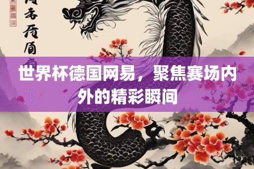 世界杯德国网易，聚焦赛场内外的精彩瞬间