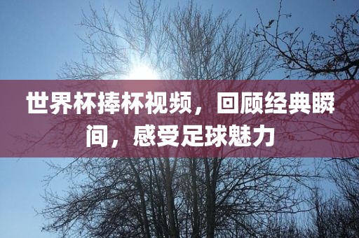 世界杯捧杯视频，回顾经典瞬间，感受足球魅力