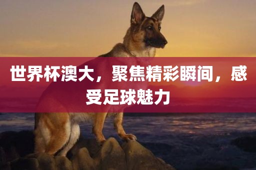 世界杯澳大，聚焦精彩瞬间，感受足球魅力