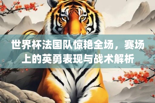 世界杯法国队惊艳全场，赛场上的英勇表现与战术解析