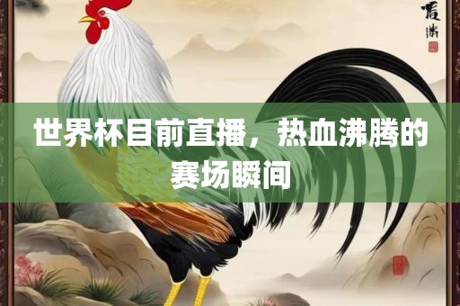 世界杯目前直播，热血沸腾的赛场瞬间