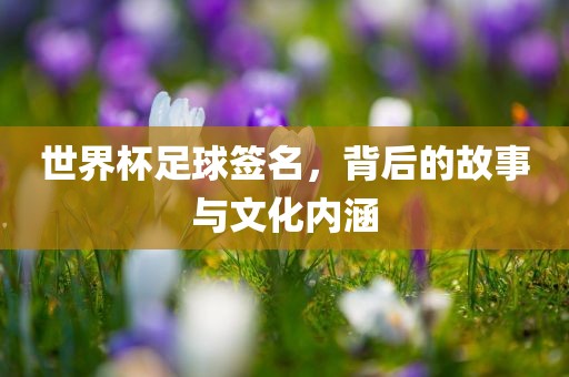 世界杯足球签名，背后的故事与文化内涵