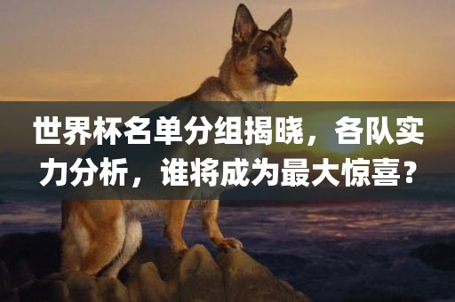 世界杯名单分组揭晓，各队实力分析，谁将成为最大惊喜？