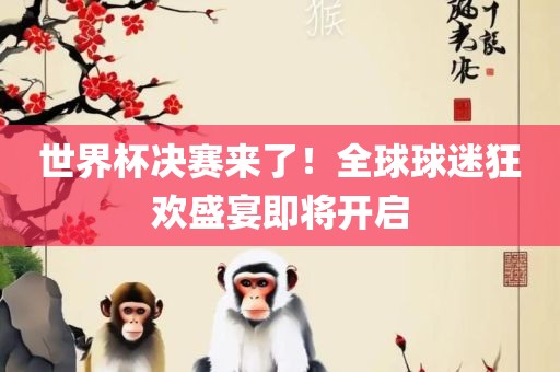 世界杯决赛来了！全球球迷狂欢盛宴即将开启眉山市正发家政服务有限公司