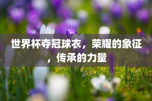 世界杯夺冠球衣，荣耀的象征，传承的力量