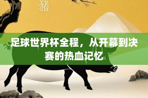 足球世界杯全程，从开幕到决赛的热血记忆