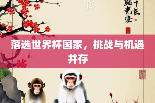 落选世界杯国家，挑战与机遇并存