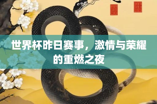 世界杯昨日赛事，激情与荣耀的重燃之夜