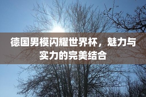 德国男模闪耀世界杯，魅力与实力的完美结合