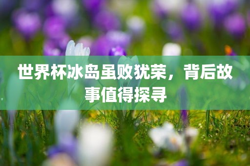 世界杯冰岛虽败犹荣，背后故事值得探寻