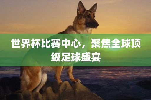 世界杯比赛中心，聚焦全球顶级足球盛宴