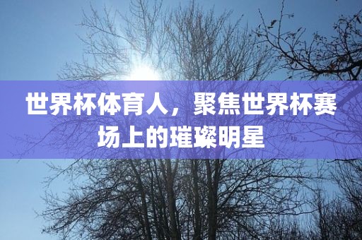 世界杯体育人，聚焦世界杯赛场上的璀璨明星